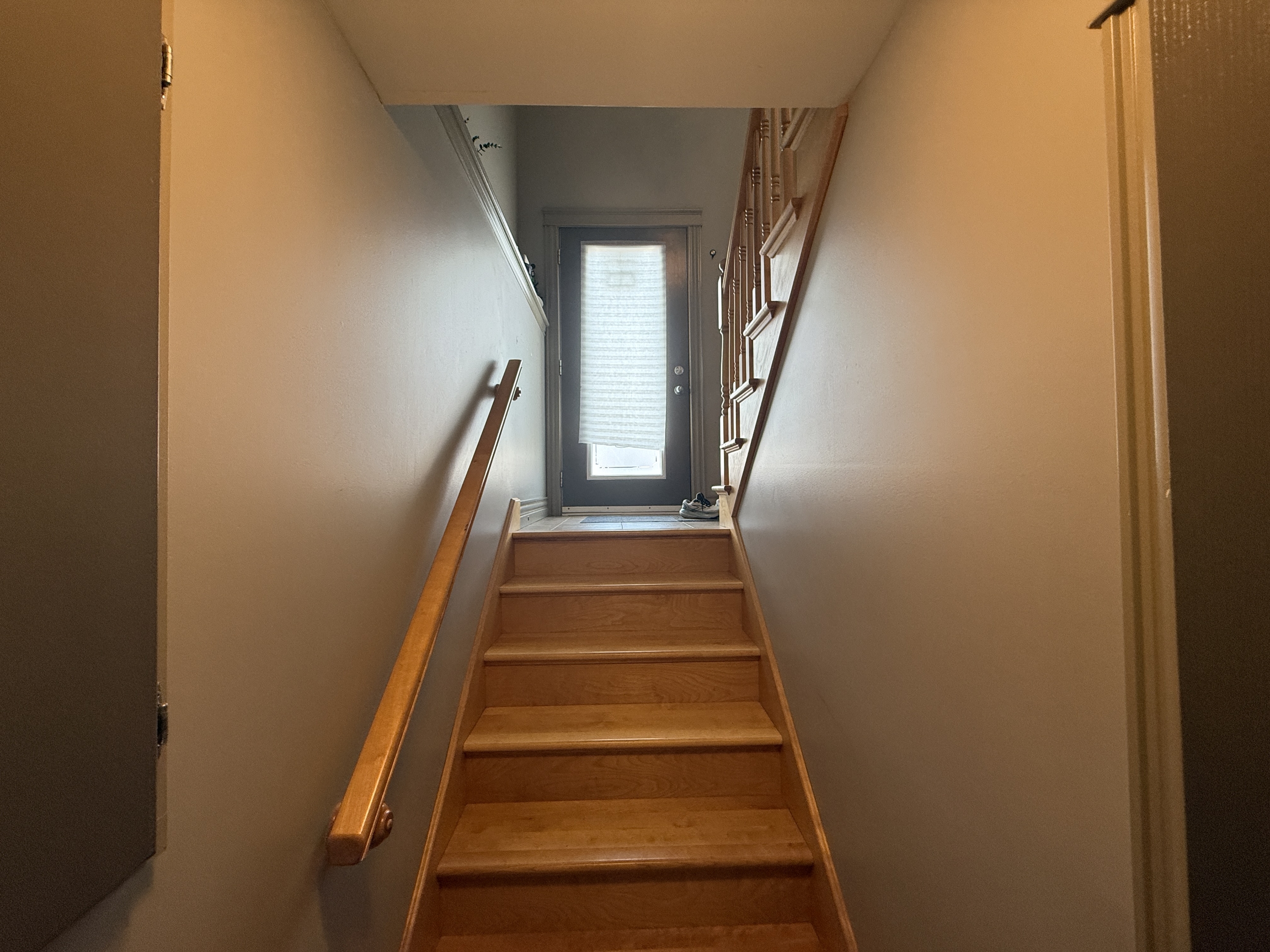 64 Danny Street photo 16
