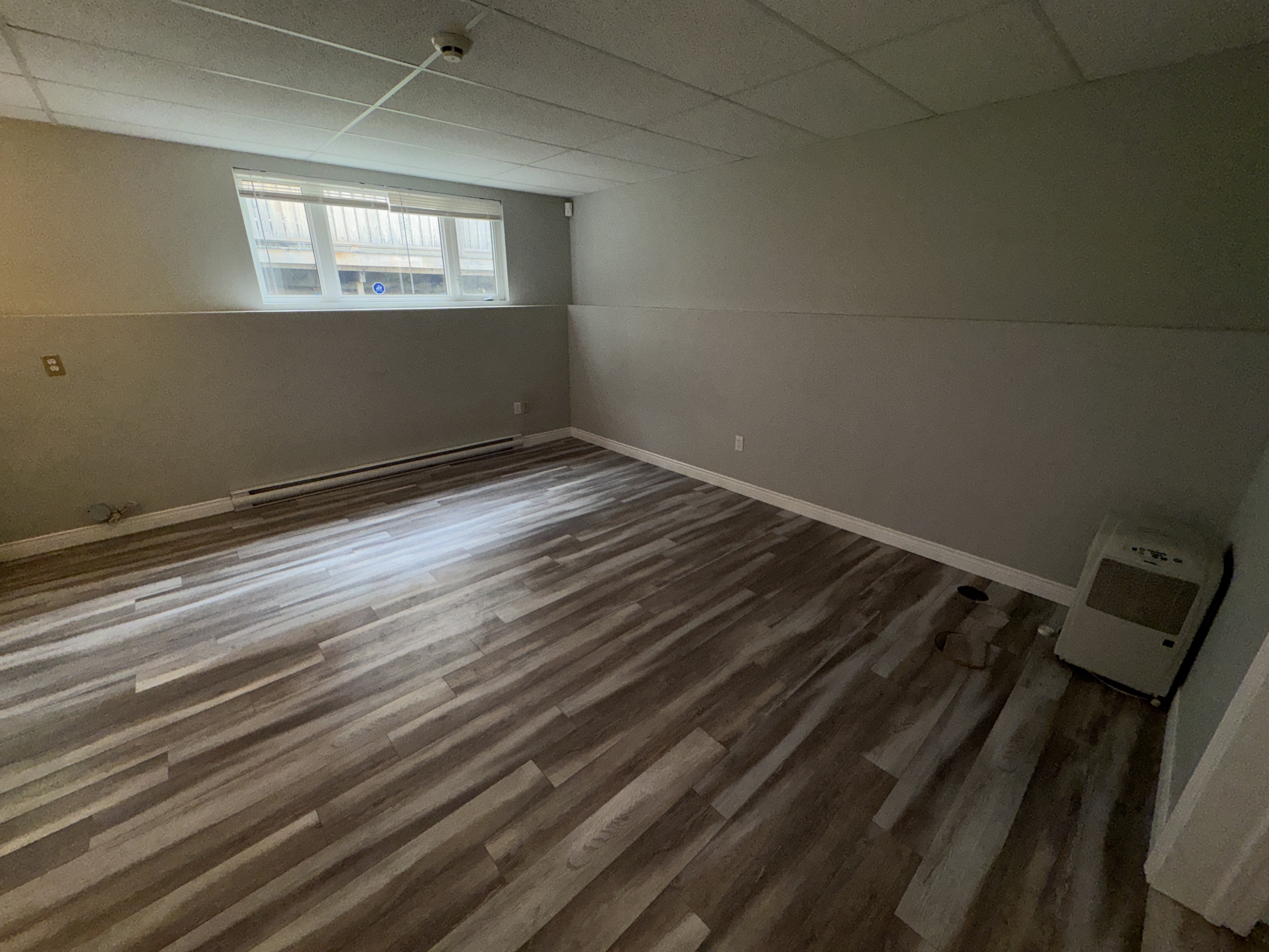 331 Robinson Street - 2 (Downstairs) photo 4