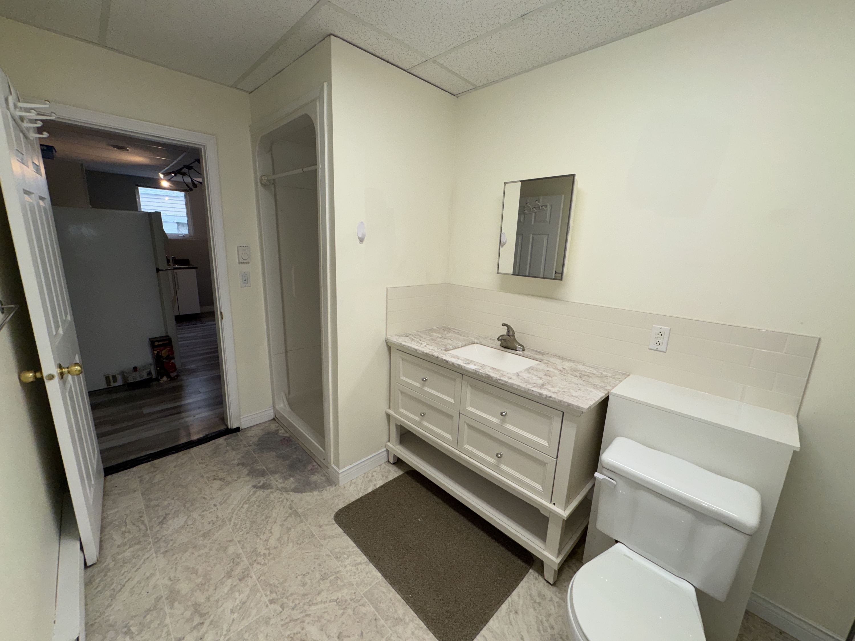 331 Robinson Street - 2 (Downstairs) photo 15