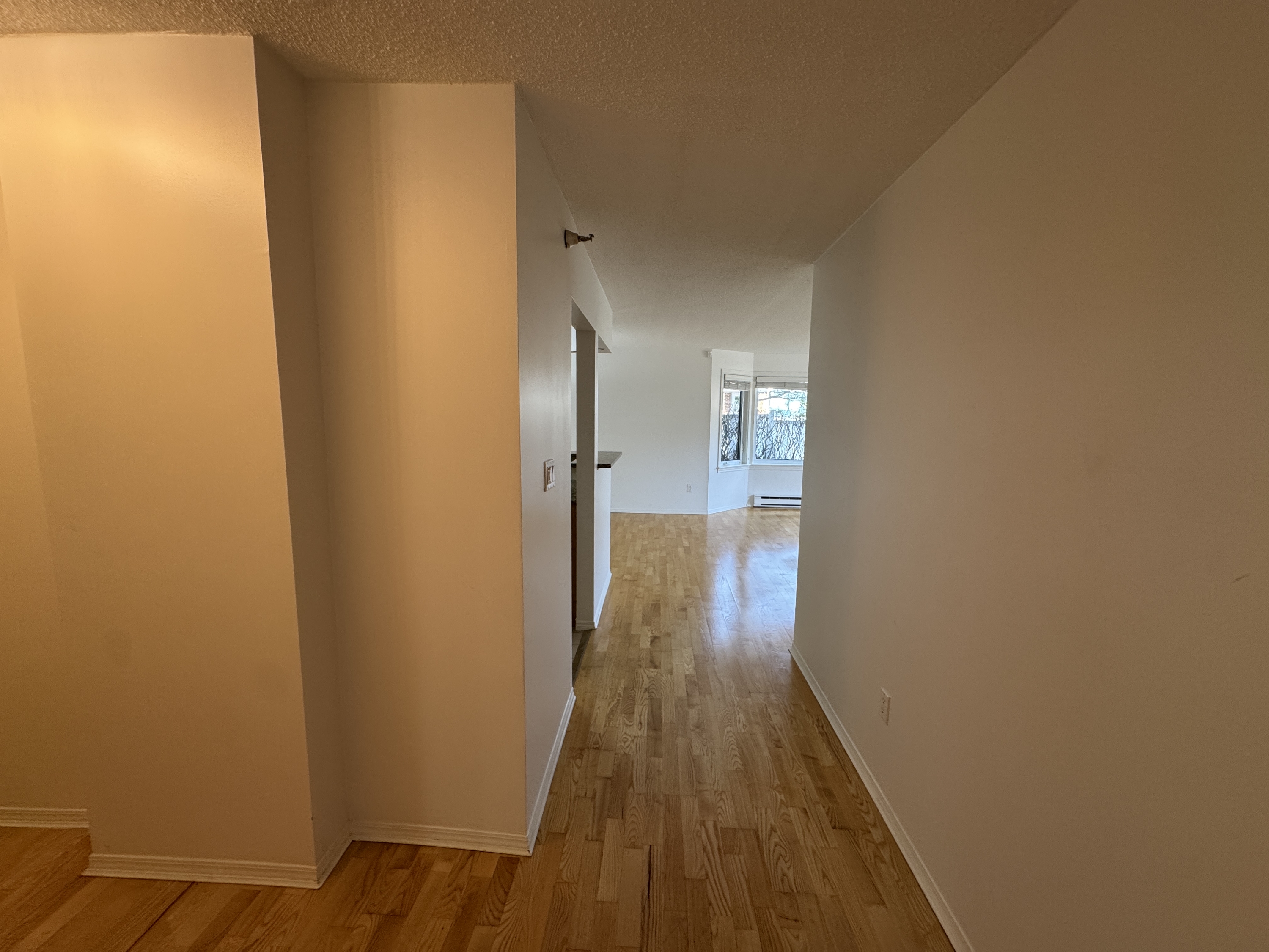 191 Queen Street - 107 photo 30