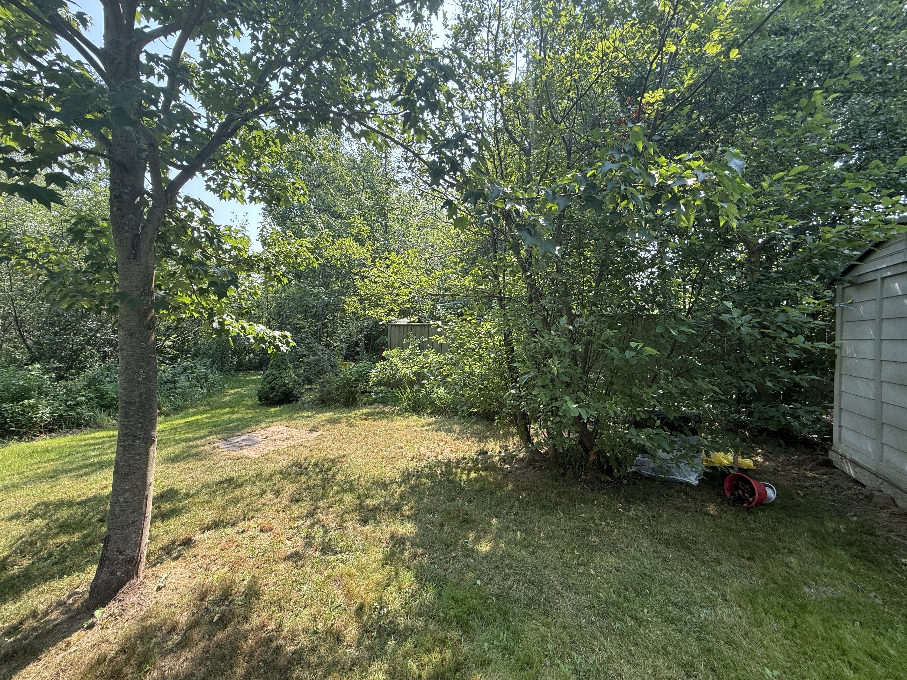 64 Danny Street photo 34