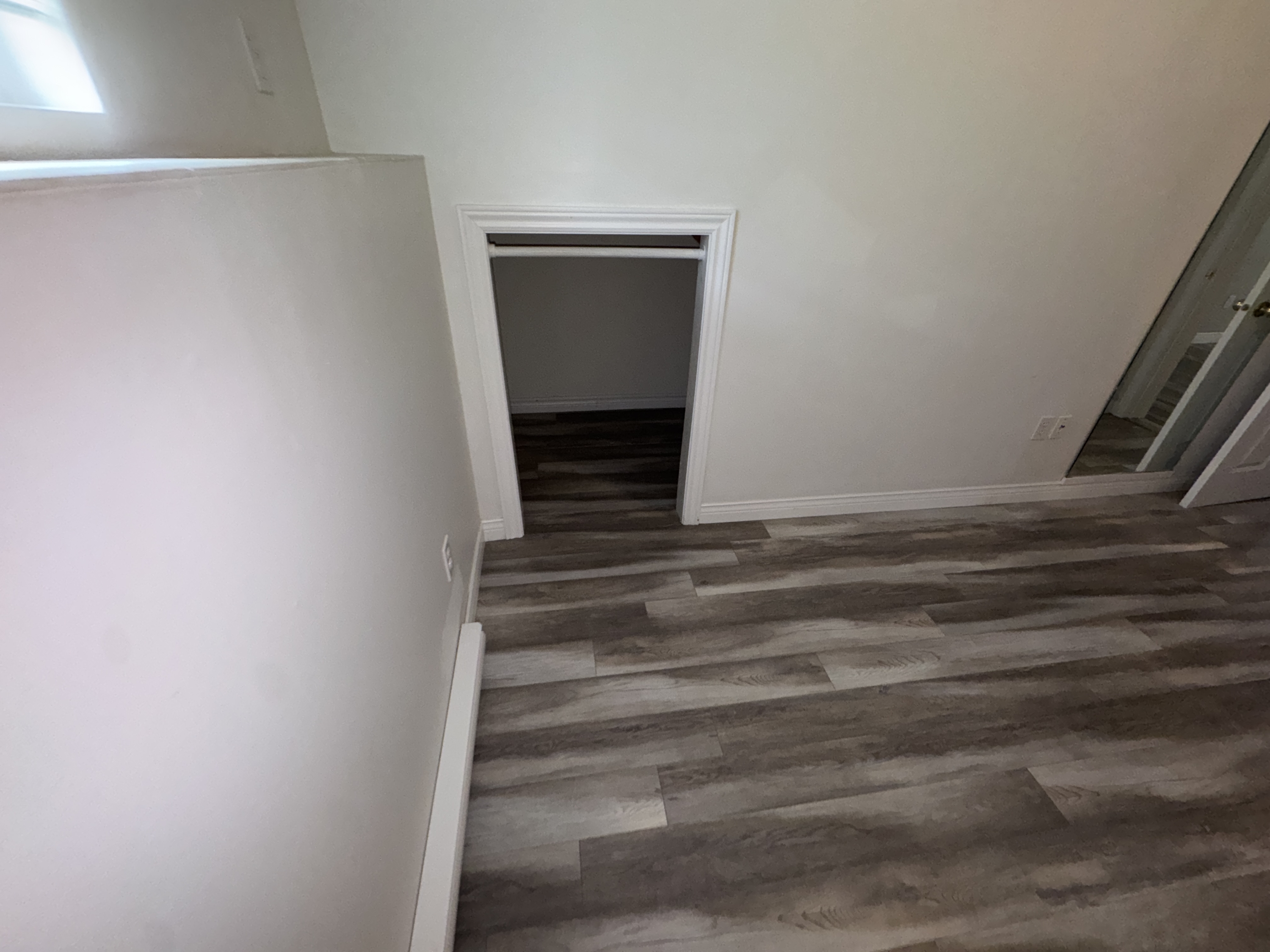 331 Robinson Street - 2 (Downstairs) photo 10