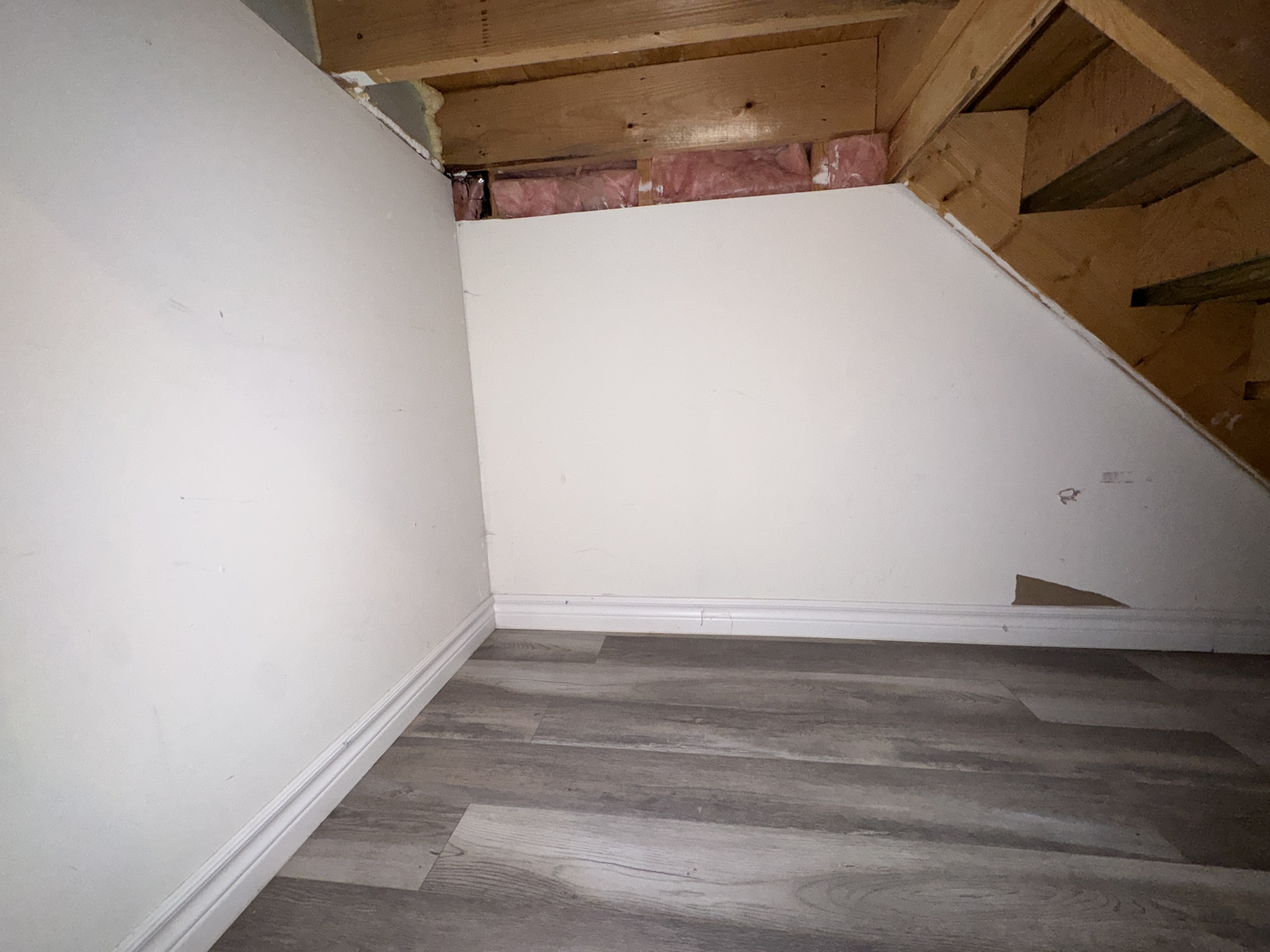 331 Robinson Street - 2 (Downstairs) photo 12
