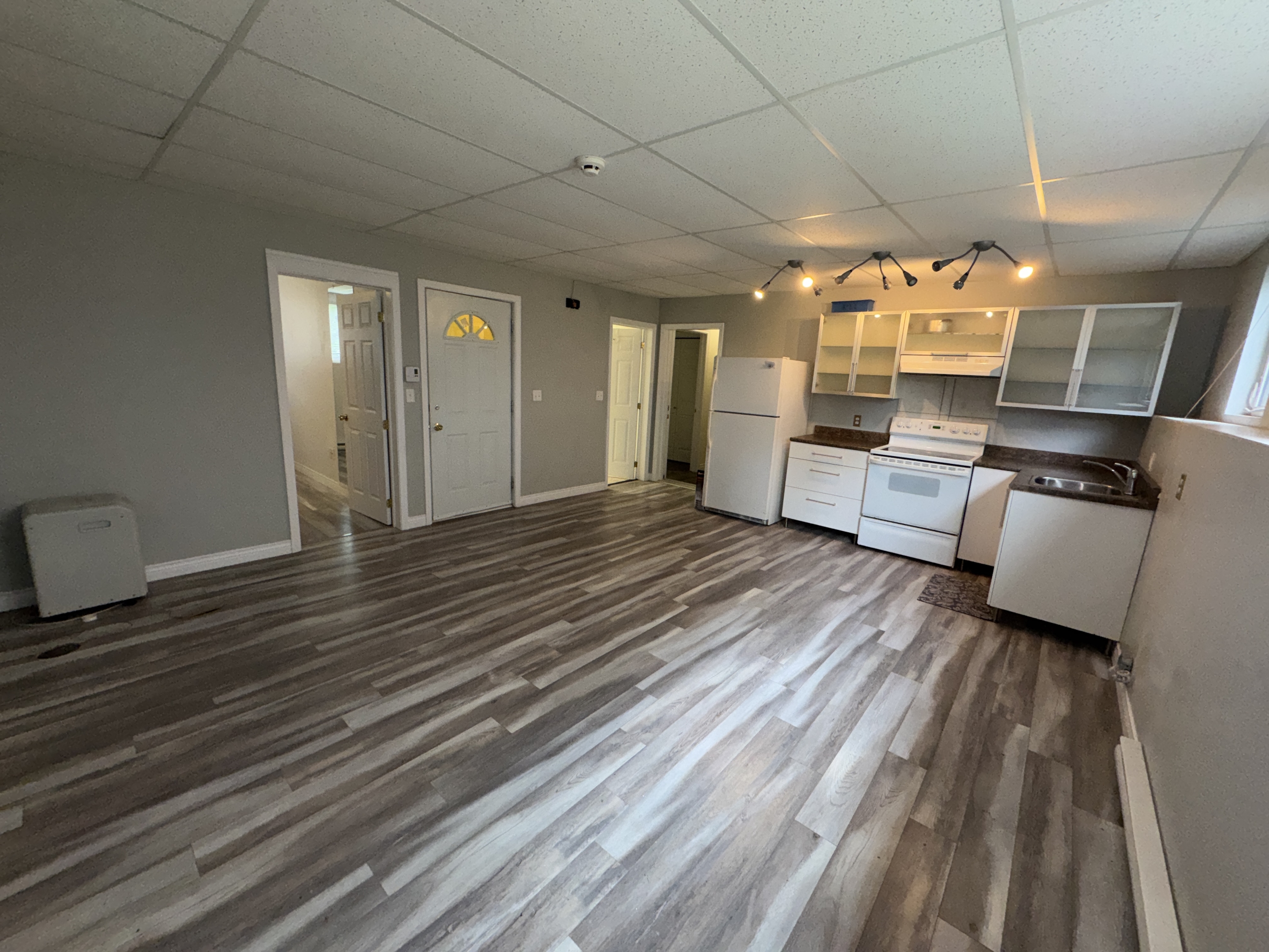 331 Robinson Street - 2 (Downstairs) photo 7