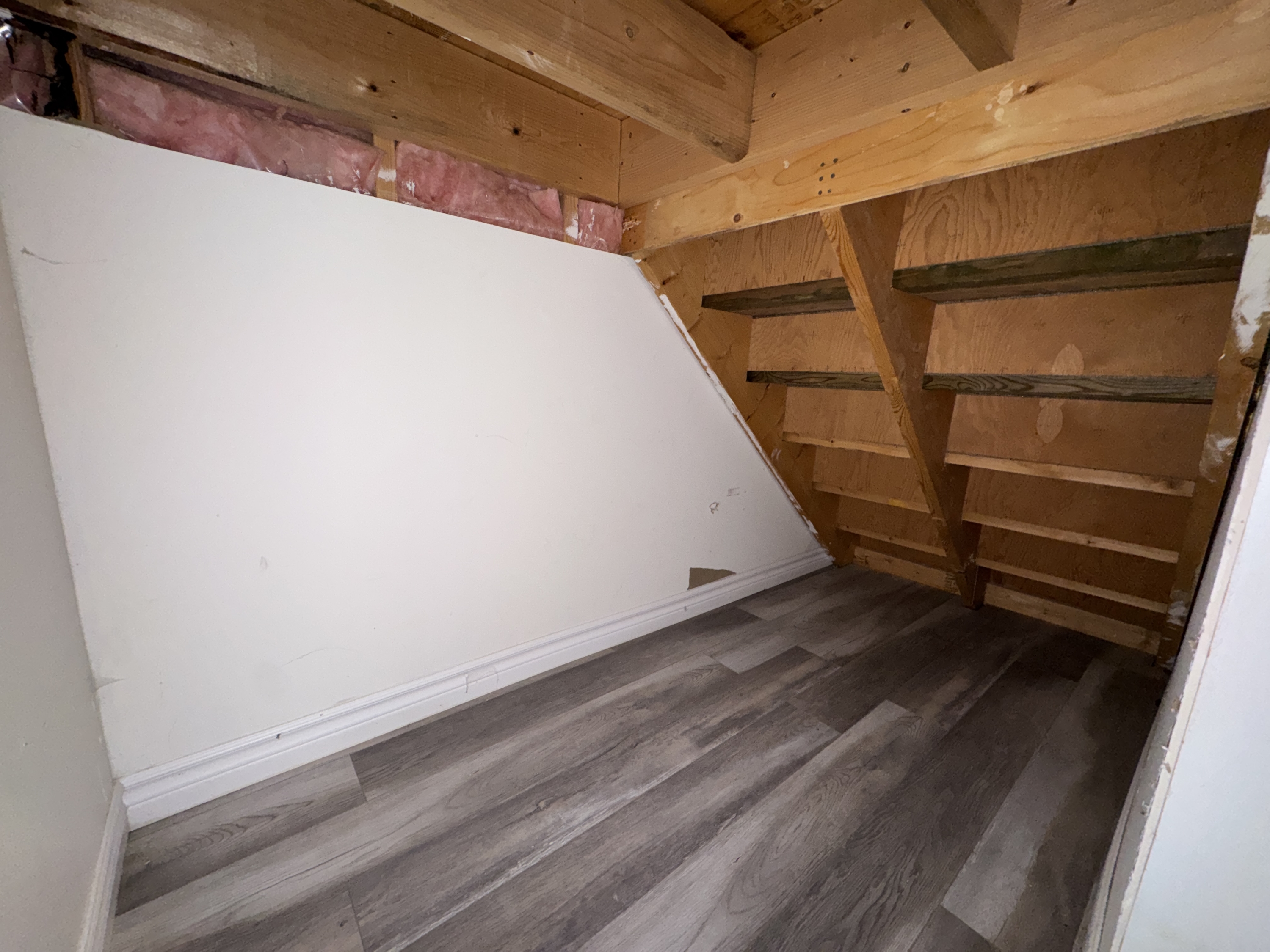 331 Robinson Street - 2 (Downstairs) photo 11