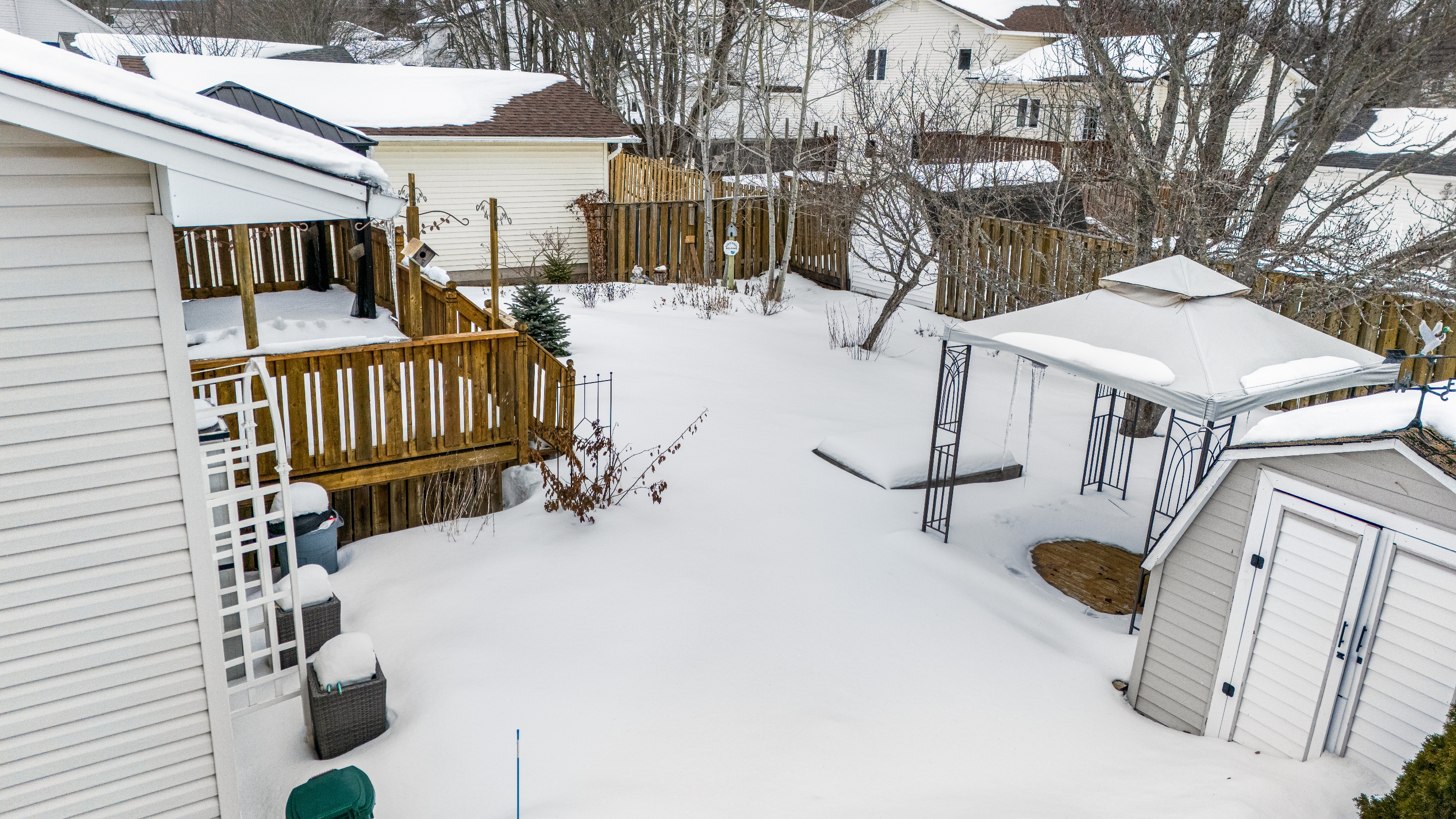 11 Bridlewood Way photo 27