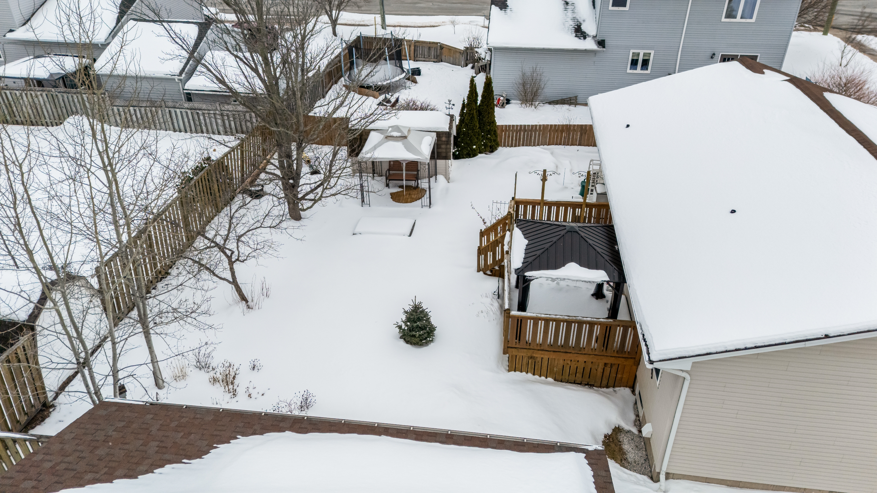 11 Bridlewood Way photo 29