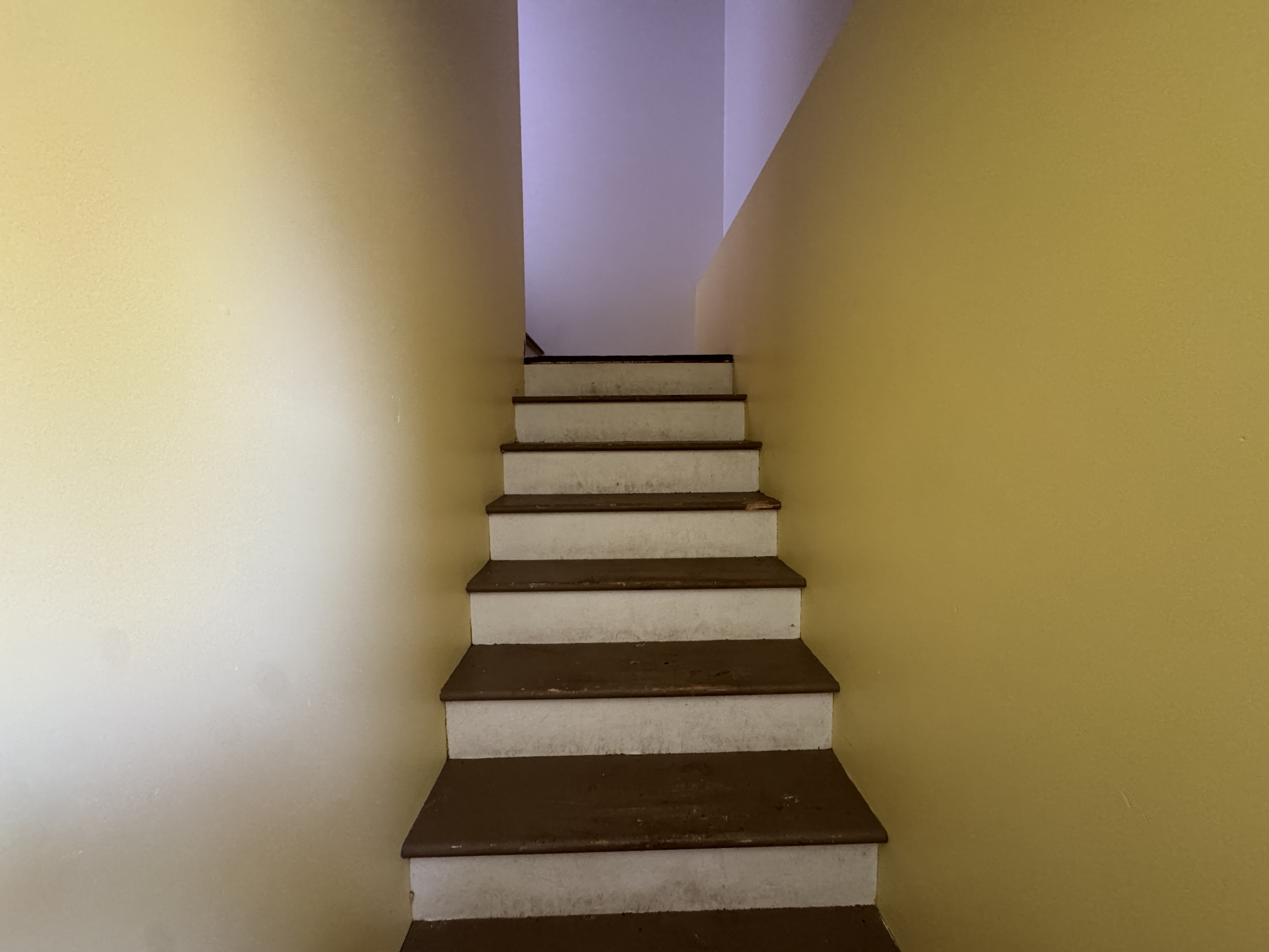 26 Chablis Court photo 40