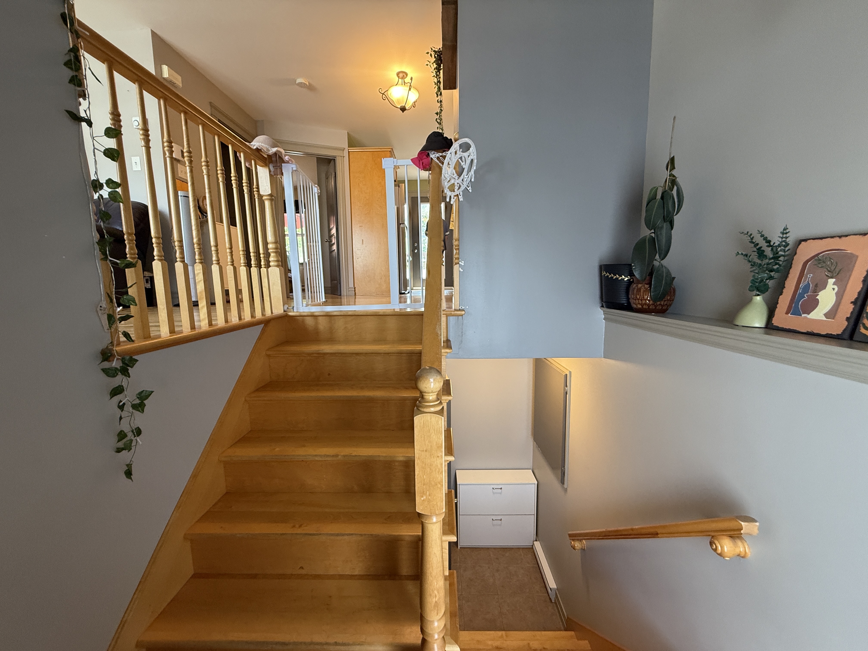 64 Danny Street photo 17