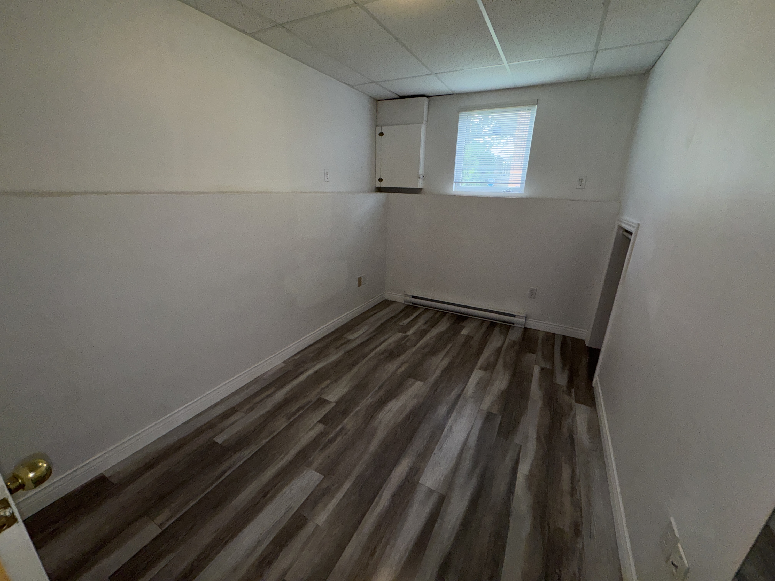 331 Robinson Street - 2 (Downstairs) photo 8