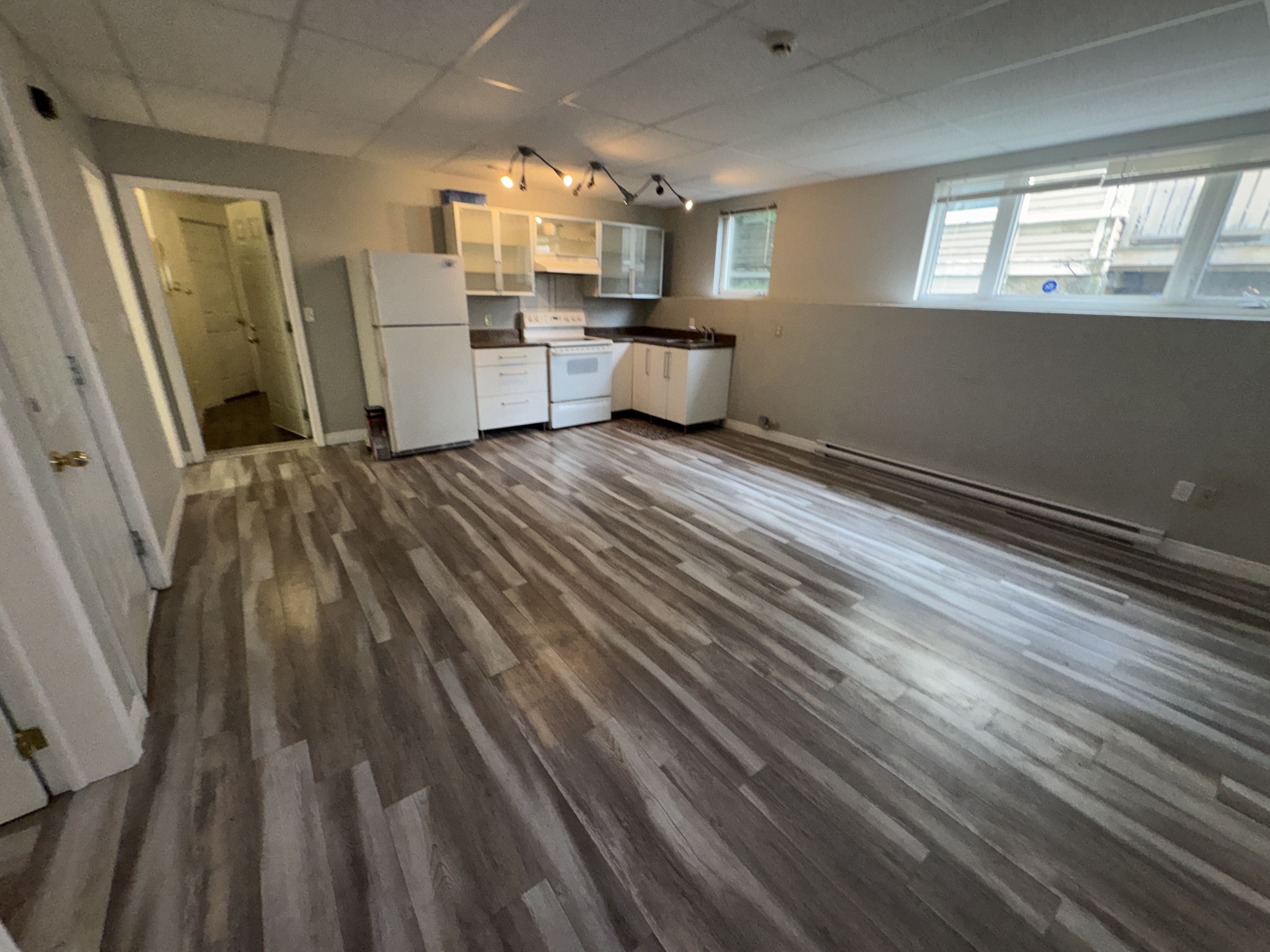 331 Robinson Street - 2 (Downstairs) photo 5