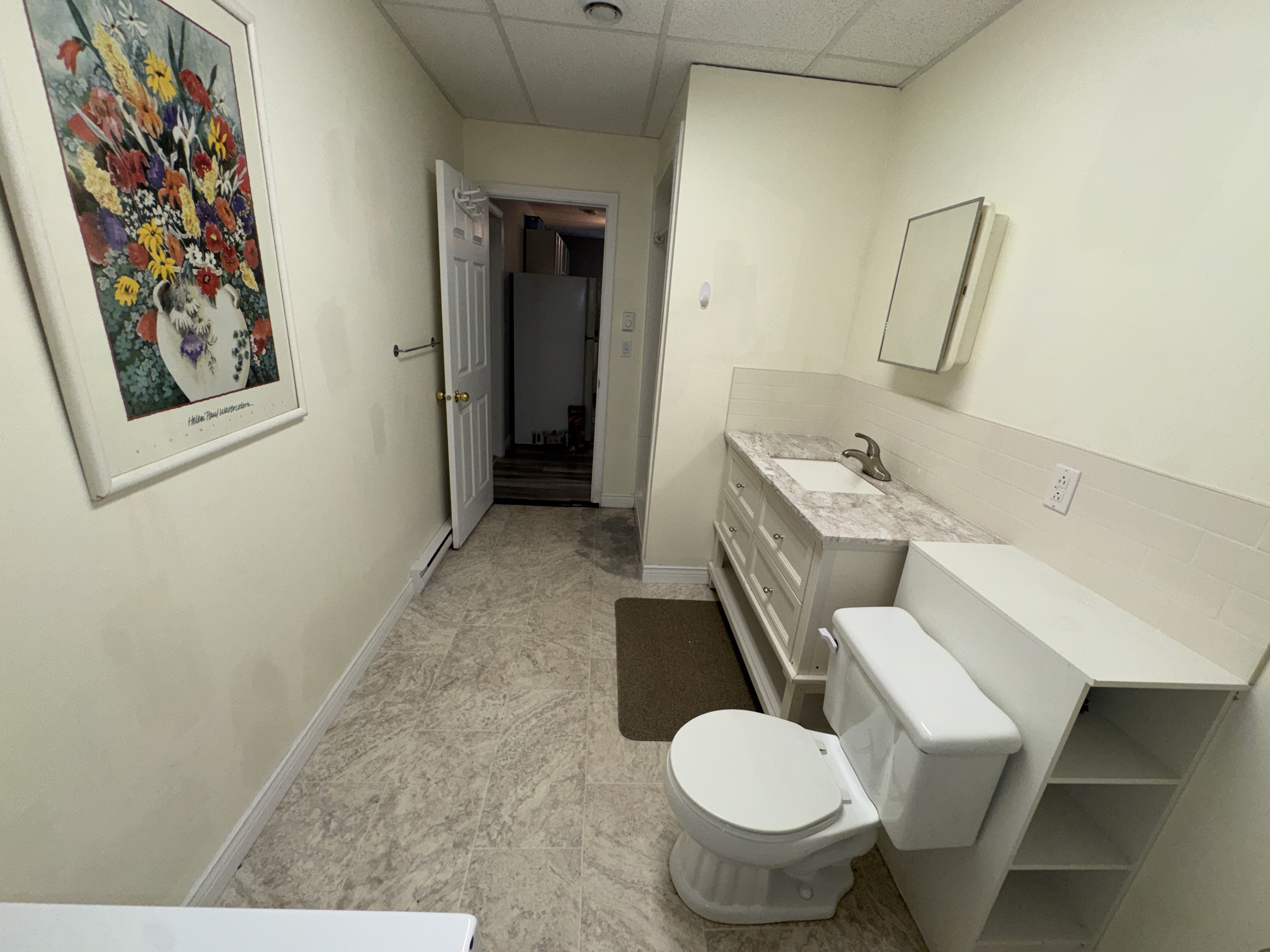 331 Robinson Street - 2 (Downstairs) photo 14