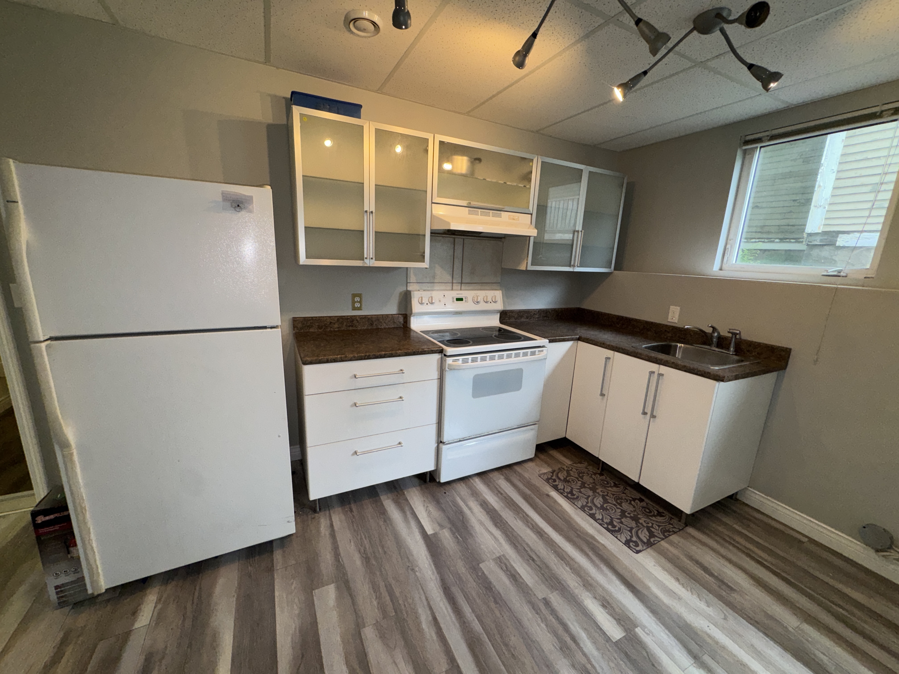 331 Robinson Street - 2 (Downstairs) photo 1