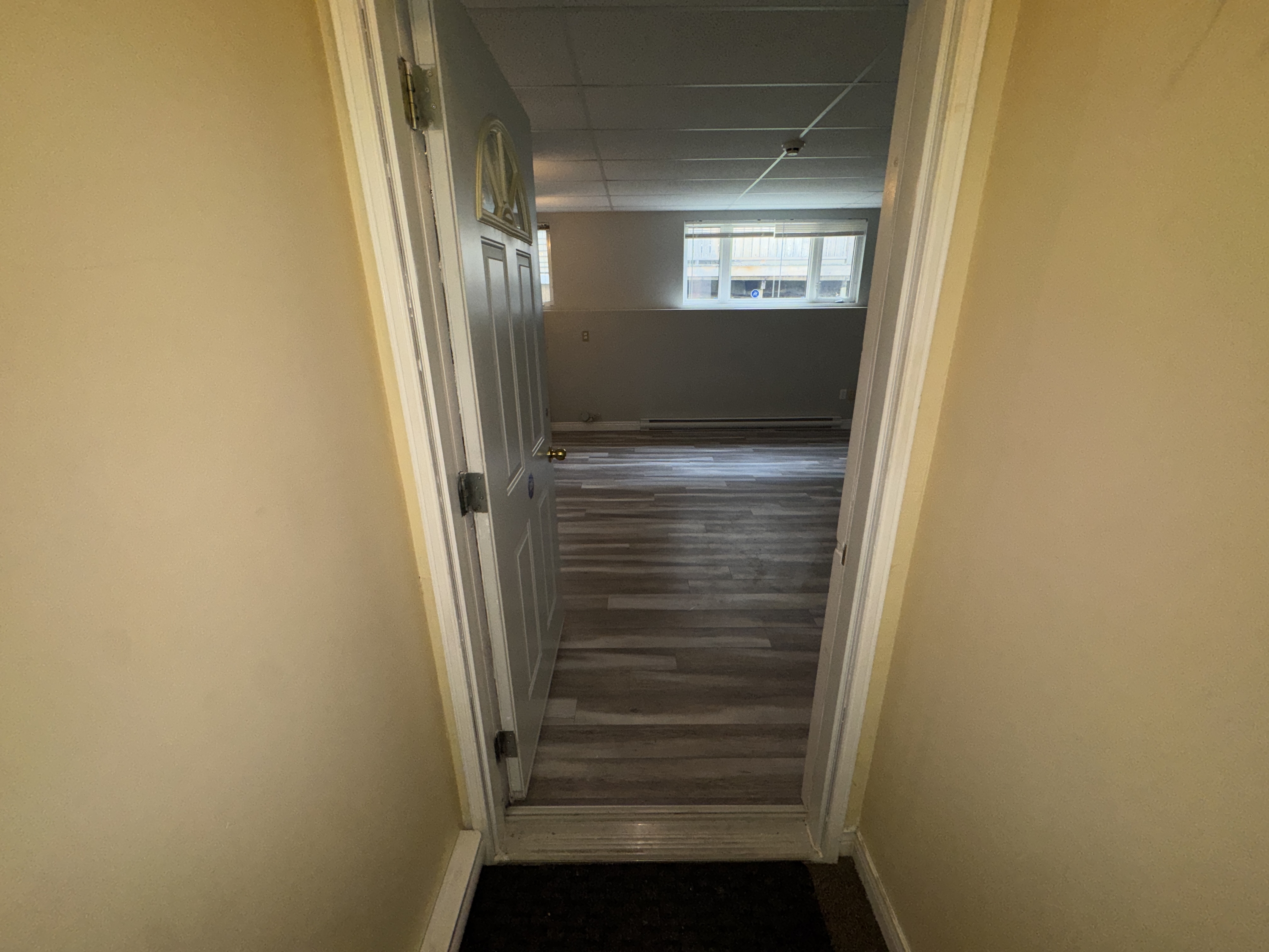 331 Robinson Street - 2 (Downstairs) photo 3