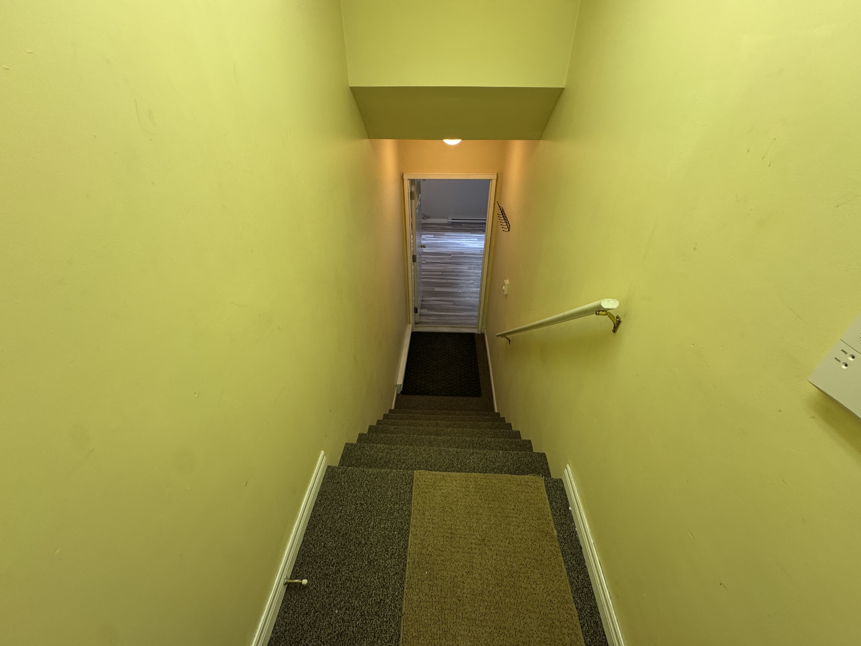 331 Robinson Street - 2 (Downstairs) photo 2